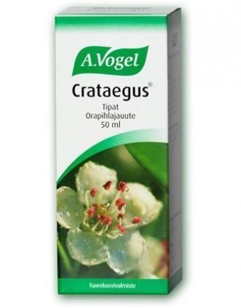 A. Vogel Cratageus Orapihlajauute