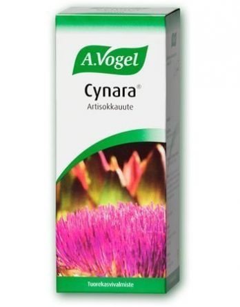 A. Vogel Cynara Artisokkauute