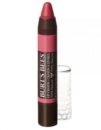 Burt's Bees Lip Crayon Niagara Overlook 3