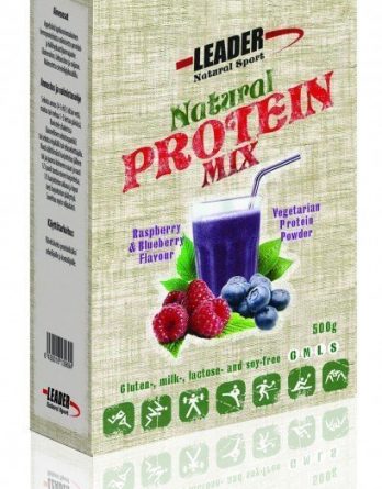 Leader Natural Sport Protein Mix Mustikka-vadelma 500 g POISTOTUOTE