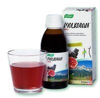 Molkosan Fruit 200 ml